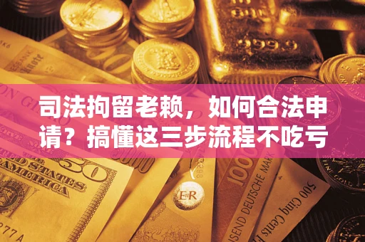 北京司法拘留老赖，如何合法申请？搞懂这三步流程不吃亏！