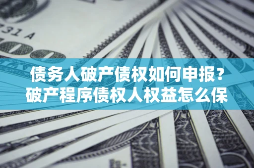 北京债务人破产债权如何申报？破产程序债权人权益怎么保障？