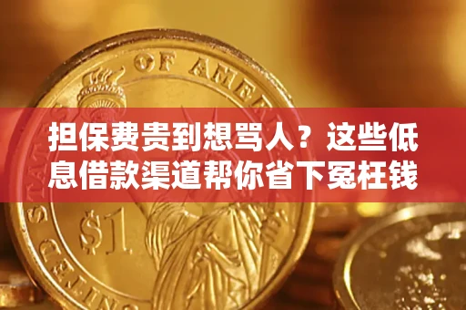 北京担保费贵到想骂人？这些低息借款渠道帮你省下冤枉钱