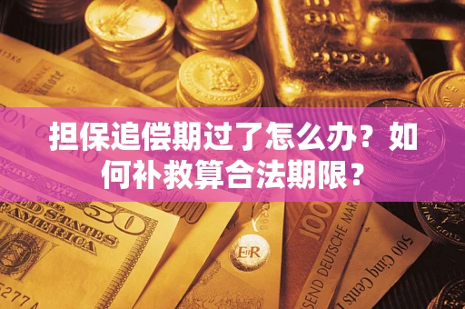 北京担保追偿期过了怎么办？如何补救算合法期限？