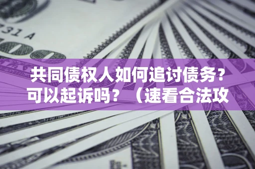 北京共同债权人如何追讨债务？可以起诉吗？（速看合法攻略）